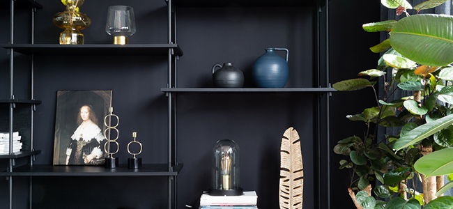 Blackfriday header modal