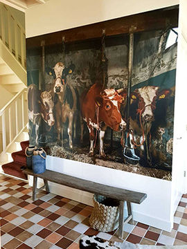 Cows wallpaper hallway