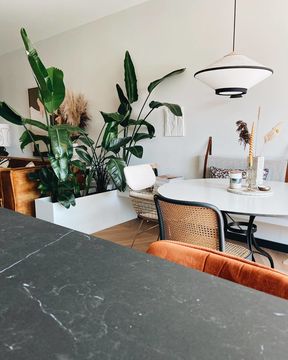 interieur met grote binnenplanten van createwow