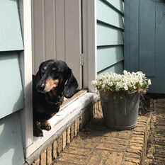 Jeanette Vierkant Small