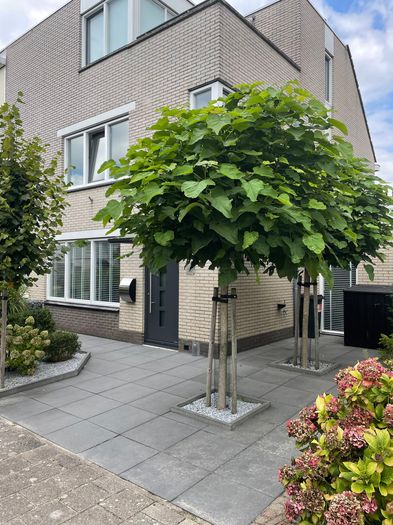 AA34 C386 E7 E9 4 B21 9 EAB FEFA65 B045 ED