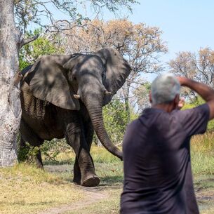 safari dieren fotografie