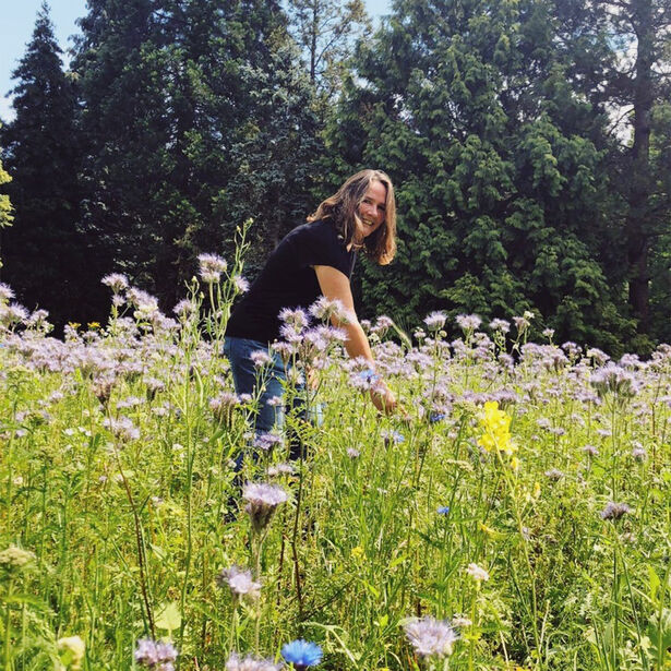 Studio allee vierkant