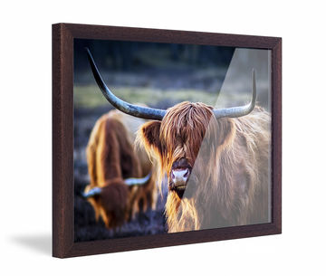 Framed photo print Art Heroes with brown frame