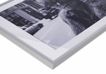 Framed photo prints Art Heroes aluminium