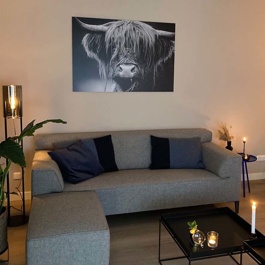 monochrome schotse hooglander fotoprint