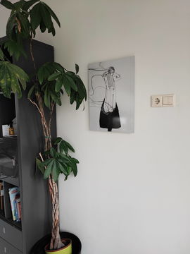 IMG 20240321 133337 1