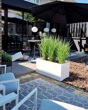 Deense zomer 351283835 1429328547815237 1973966740186419621 n