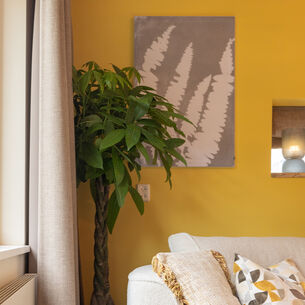 Tv Heerhugowaard dgh24 Vierkant 1080x1080px