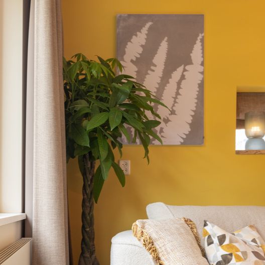 Tv Heerhugowaard dgh24 Vierkant 1080x1080px