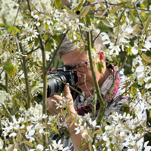 Rietje Bulthuis featured image