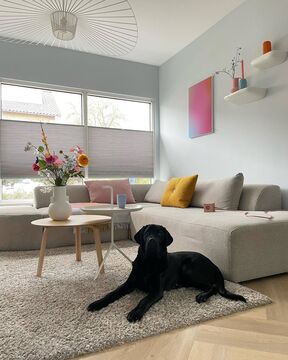 Roy83 433478730 1145328406501510 3374027323765592799 n