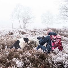 natuurfotograaf die hond fotografeert in winters landschap