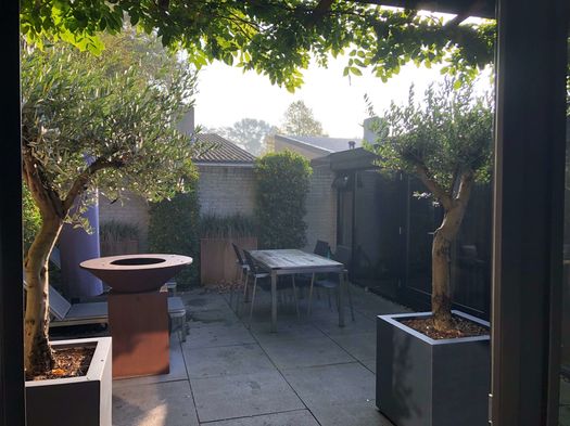 foto van tuin interieur