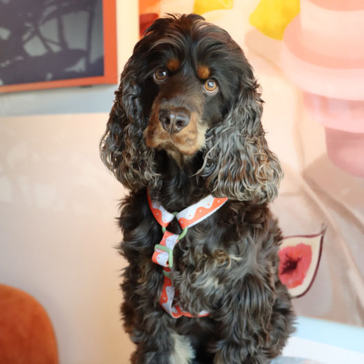 Wiwa personalphoto 2025