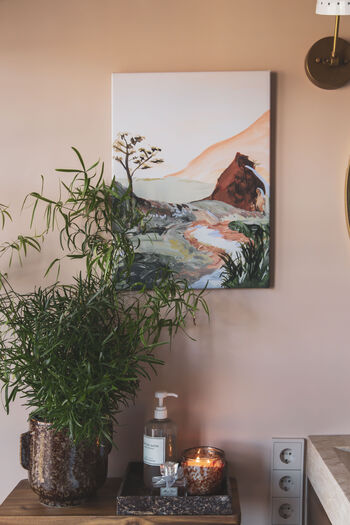 Badkamer met roze muren, abstract schilderij, groene plant en houten plank met accessoires