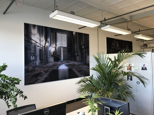 Kantoorruimte met groot zwart-wit industrieel fotobehang en groene planten