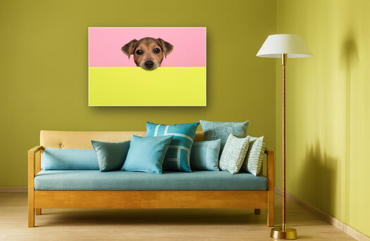 Houten bank met blauwe kussens tegen gele muur met poster van hond op roze-gele achtergrond