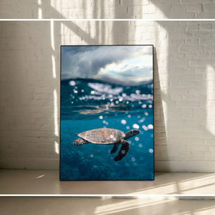 Emailheader2 Spacesinfocus