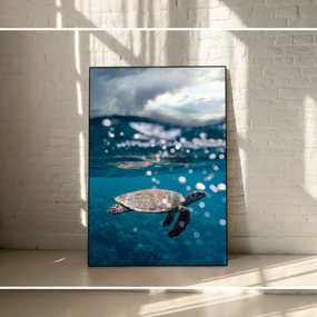 Emailheader2 Spacesinfocus