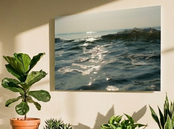 Emailheader Spacesinfocus