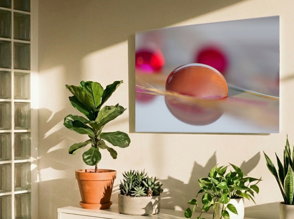 Lichte kamer met abstract kunstwerk in roze tinten en kamerplanten