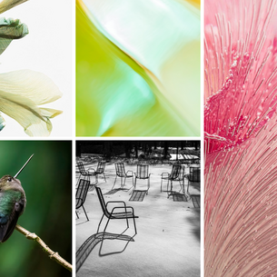 Headers website beeldmakers in de spotlight