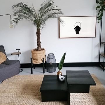 minimalistisch schilderij in interieur naast palmboom