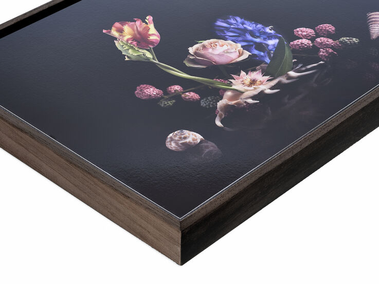 Dibond nl bird float brown