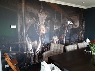 Foto behang koeien Werk aan de Muur landelijke stijl