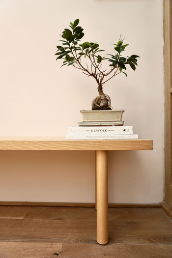 bonsai boompje op houten tafel