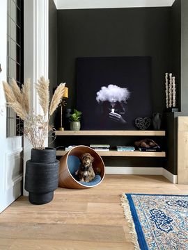 foto van ArtFrame kunstwerk op plankjes met hond ernaast