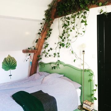 Groen wonen slaapkamer Werk aan de Muur