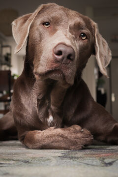 Binnenkijker blog Werk aan de Muur