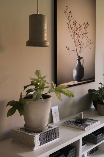 Wanddecoratie Werk aan de Muur natuurlijk interieur