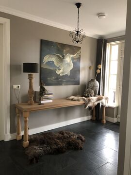 Bedreigde Zwaan Oude Meester Werk aan de Muur