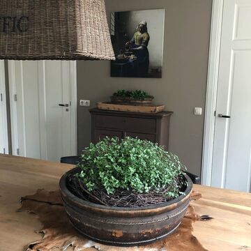 Melkmeisje Werk aan de Muur Oude Meester Werk aan de Muur