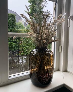 Housegardenjoy 107528213 2590696187851983 2694623027710808423 N