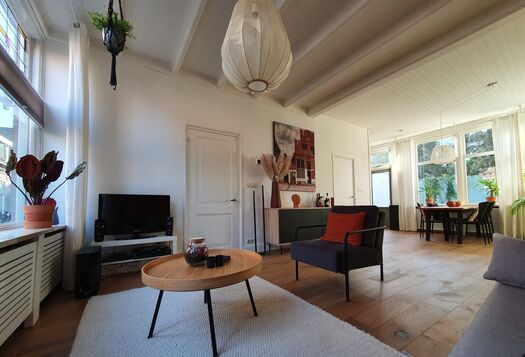 Scandinvaisch Bohemien Johannes Vermeer Werk aan de Muur