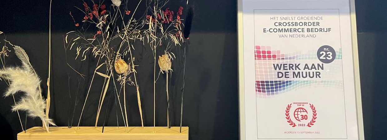 We wonnen de een crossborder award!