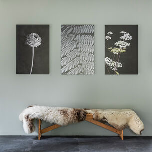 drie foto kunstwerken bij weer verliefd op je huis in alkmaar