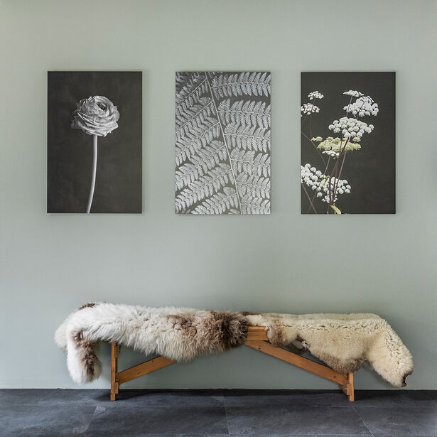 drie foto kunstwerken bij weer verliefd op je huis in alkmaar