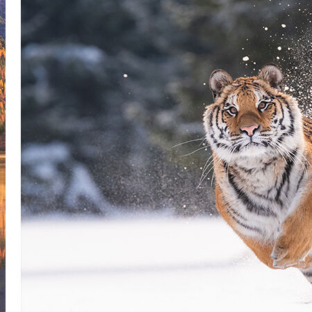 Lees het interview met beeldmaker Dick van Duijn