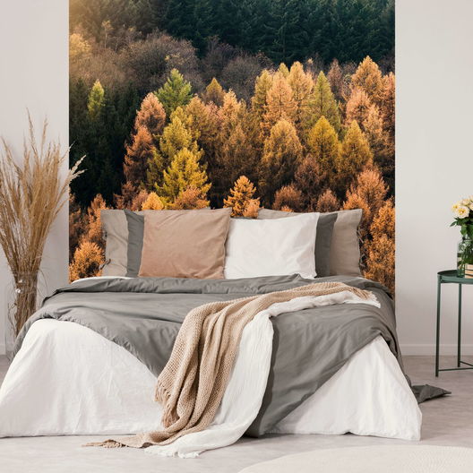 Room Indian Summer 897865