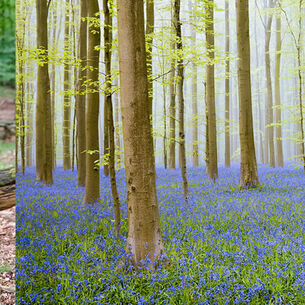 Interview Sjoerd van der Wal