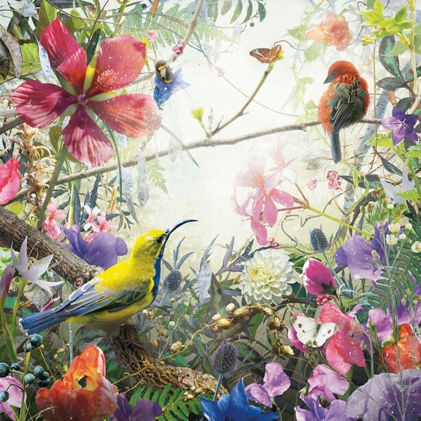 c01c38cd33f706ac8a87983b74a32acc_proxy