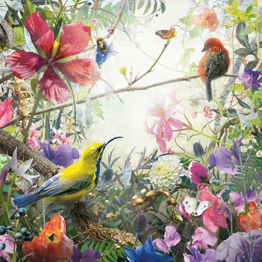 c01c38cd33f706ac8a87983b74a32acc_proxy