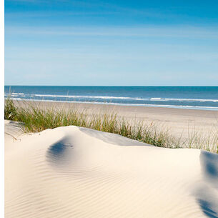 reiner-featured-Kopie