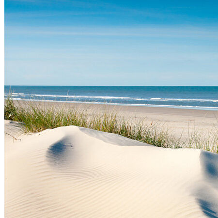 reiner-featured-Kopie