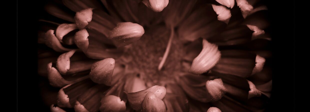 f7412c3a55a5d367ec021a6ef2a89d49